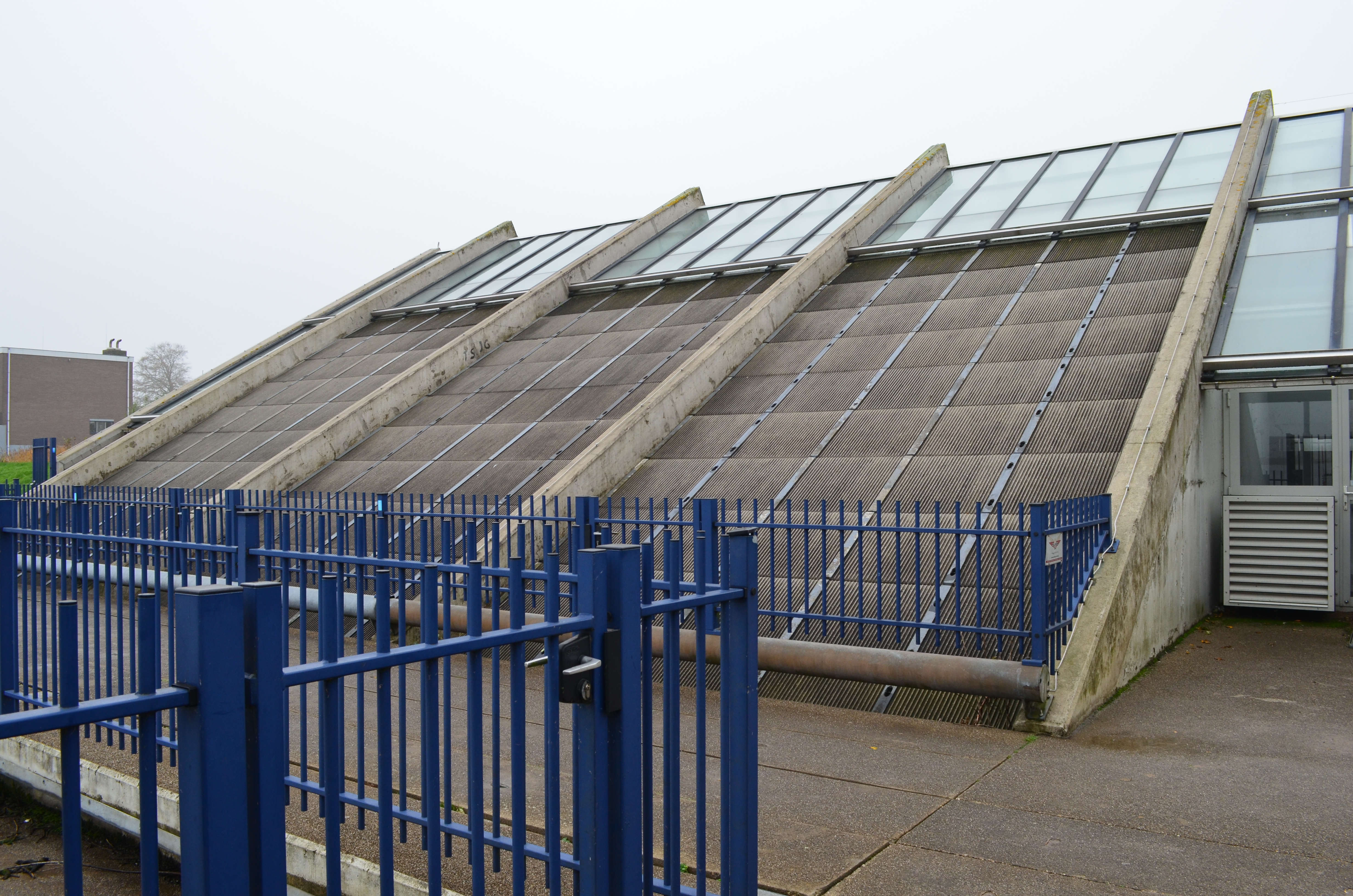 ./2017/19 - Viking Lif/12 - Kinderdijk, The Netherlands/DSC_0256.JPG
